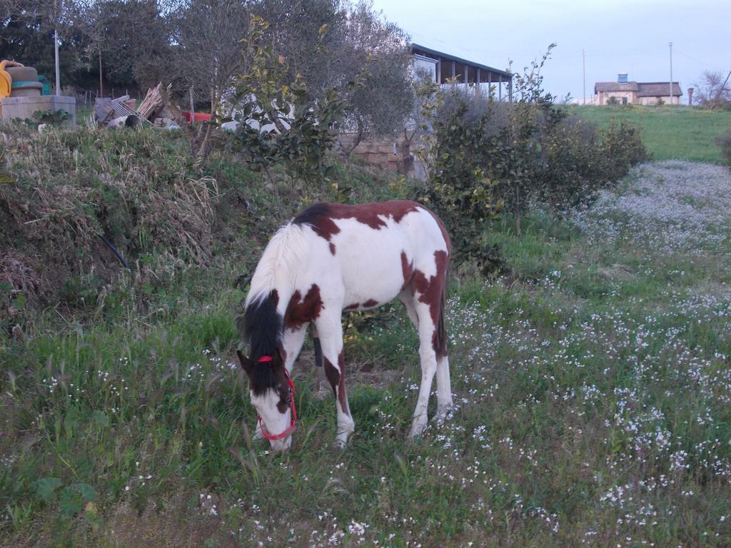 Agriturcostabaira Villa Caltagirone Bagian luar foto